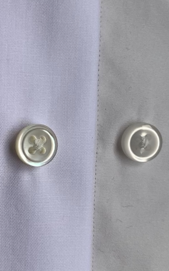 高瀬貝と合成樹脂のボタン